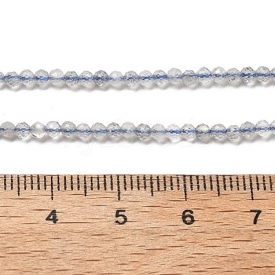 Natural Labradorite Beads Strands G-RM241221-A10-1