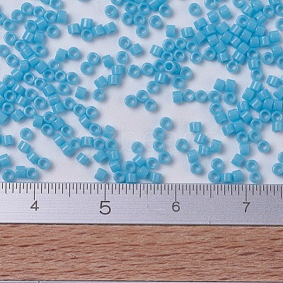 MIYUKI Delica Beads SEED-J020-DB0725-1
