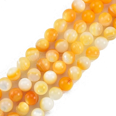 Natural Golden Yellow Shell Beads Strands SSHEL-G024-01B-1