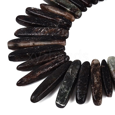 Natural Biotite Beads Strands G-Q616-06A-1