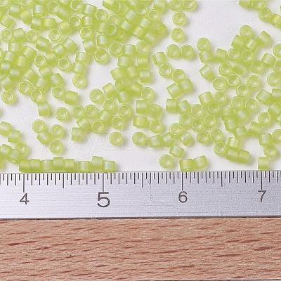 MIYUKI Delica Beads SEED-MY11-DB0860-1