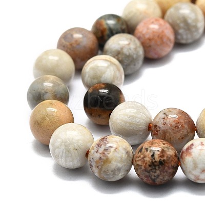 Natural Fossil Coral Beads Strands G-E576-03B-1