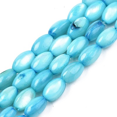 Freshwater Shell Beads Strands SHEL-T009-B15-05-1