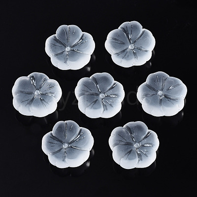 Transparent Frosted Glass Beads GLAA-Q089-003-B001-1