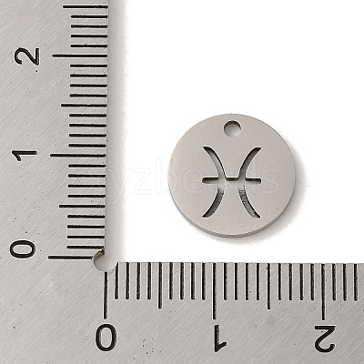 Non-Tarnish 201 Stainless Steel Charms STAS-E217-10P-06-1