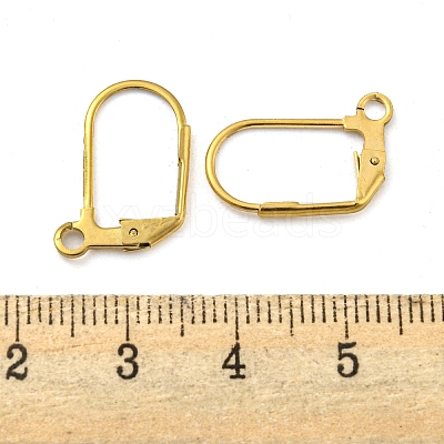 Ion Plating(IP) 304 Stainless Steel Leverback Earring Findings STAS-P360-02B-G-1