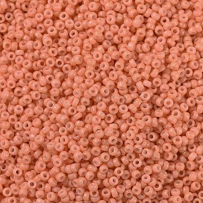 MIYUKI Round Rocailles Beads X-SEED-G009-RR4462-1