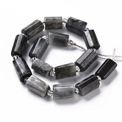 Natural Hawk's Eye Beads Strands G-S345-8x11-009-1