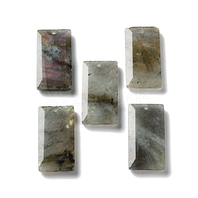 Natural Labradorite Pendants G-G063-01I-1
