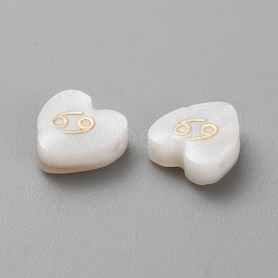 5Pcs Natural White Shell Beads BSHE-TAC0004-02F-1
