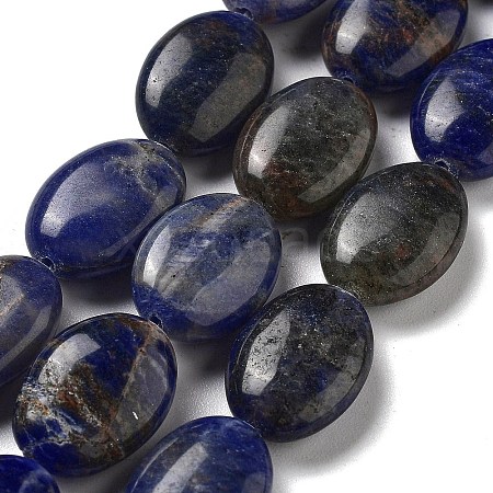 Natural Sodalite Beads Strands G-P528-M14-01-1