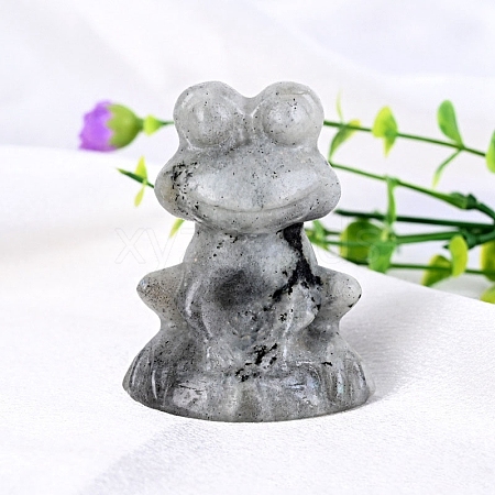 Natural Black Moonstone Carved Frog Figurines PW-WG2CFF8-04-1