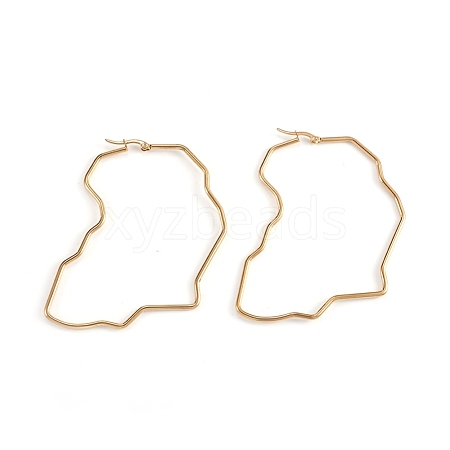 201 Stainless Steel Hoop Earrings EJEW-L243-19A-G-1