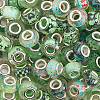 100Pcs Printed Transparent Resin European Beads RESI-PA0001-18A-7