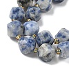Natural Blue Spot Jasper Beads Strands G-U023-A05-01-4