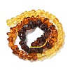 Gradient Color Natural Amber Beads Strands G-K387-F01-01-4