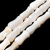 Natural Freshwater Shell Beads Strands SHEL-K006-08-1