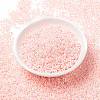 MIYUKI Round Rocailles Beads SEED-X0055-RR0427-2