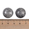 Natural Map Stone Cabochons G-T020-18mm-30-3