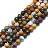 Natural Ocean Jasper Beads Strands G-F715-112C-1