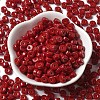 Opaque Colours Glass Seed Beads SEED-E001-P3x6mm-13-2