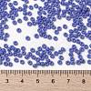 MIYUKI Round Rocailles Beads SEED-G008-RR0417L-4