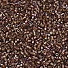 MIYUKI Delica Beads SEED-MY11-DB1759-3
