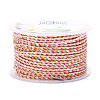 Multi-Color Decorative Nylon Twisted Cord NWIR-Z003-E19-1