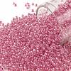 TOHO Round Seed Beads X-SEED-TR11-0987-1
