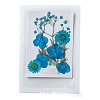 Pressed Dried Flowers DIY-F076-01A-1