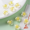 Transparent Acrylic Beads TACR-S152-02A-SS2105-6