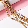 Natural Crazy Lace Agate Beads Strands G-A201-A05-4