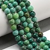 Natural Green Grass Agate Beads Strands G-NH0001-D03-02-2