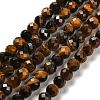 Natural Tiger Eye Beads Strands G-B107-A02-08-1