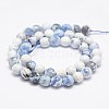 Faceted Natural Fire Crackle Agate Beads Strands G-F447-8mm-B09-2