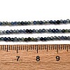 Natural Sapphire Beads Strands G-F803-A01-01B-5
