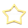 304 Stainless Steel Pendants STAS-B044-02G-1