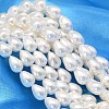 Teardrop Shell Pearl Bead Strands BSHE-L015-8x11-01-1