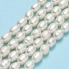 Natural Cultured Freshwater Pearl Beads Strands PEAR-J006-14C-01-2