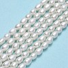 Natural Cultured Freshwater Pearl Beads Strands PEAR-J006-07F-2