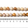 Natural Crazy Lace Agate Beads Strands G-H298-A12-04-5