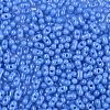 Baking Paint Glass Seed Beads SEED-L011-09A-05-3