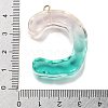 Resin Pendant FIND-Q107-01C-01-3