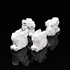 Natural Howlite Display Decorations PW-WG14A90-15-1