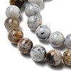 Natural Dendritic Opal Beads Strands G-R494-A16-03-3