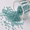 12/0 Grade A Round Glass Seed Beads SEED-N001-B-920-1