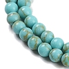 Synthetic Turquoise Beads Strands G-U004-02E-4