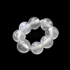 Natural Rainbow Moonstone Beads G-P557-01A-2