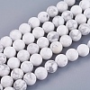 Natural Howlite Beads Strands G-I107-8mm-1