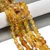 Natural Yellow Opal Beads Strands G-P497-01E-34B-2